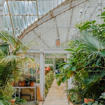 entrance to greenhouse with beautiful flowers
